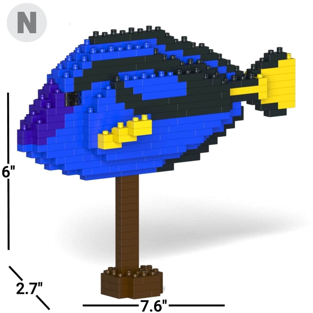 Regal Tang - NORMAL - Regal Tang
