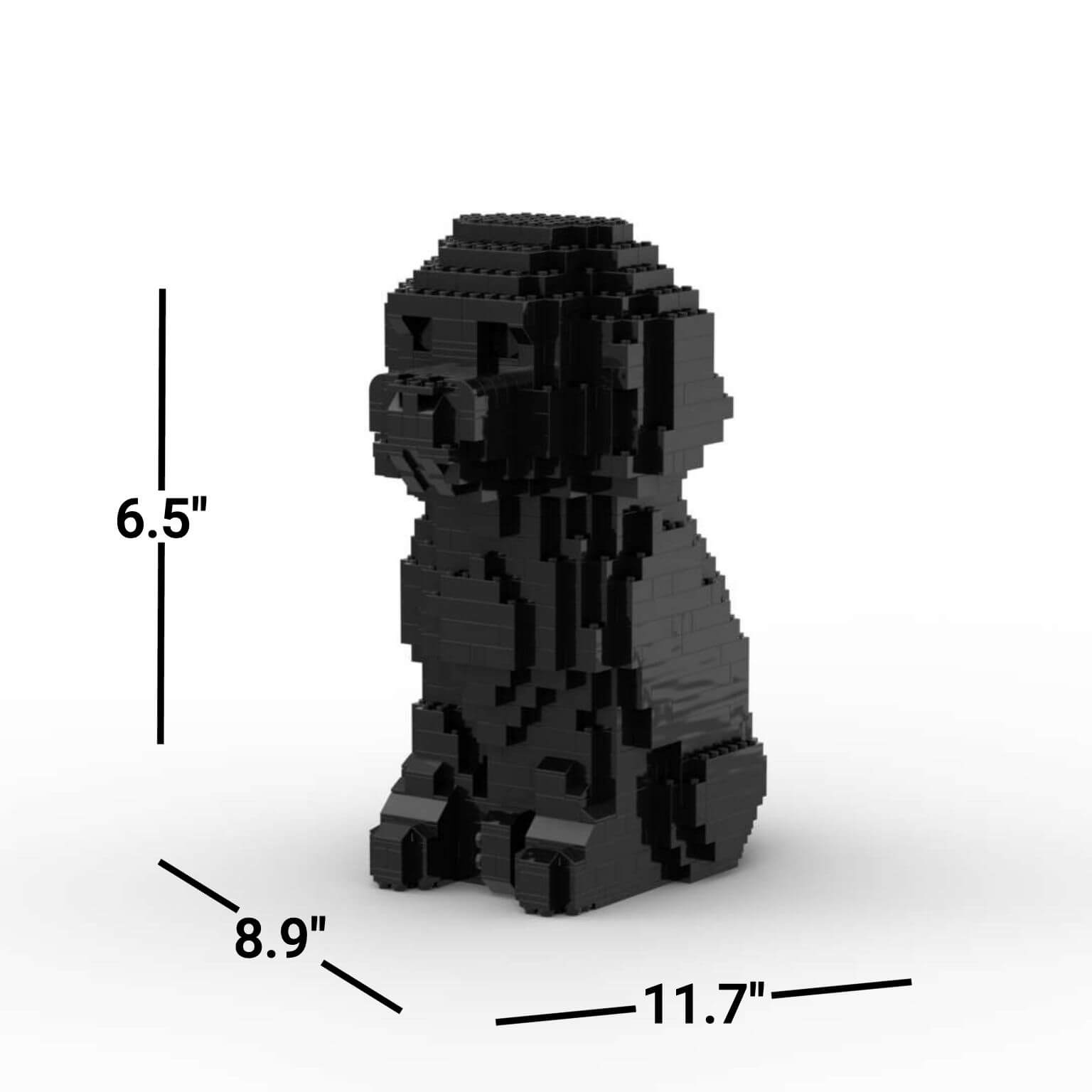 Goldendoodle - MEDIUM - Black - Goldendoodle