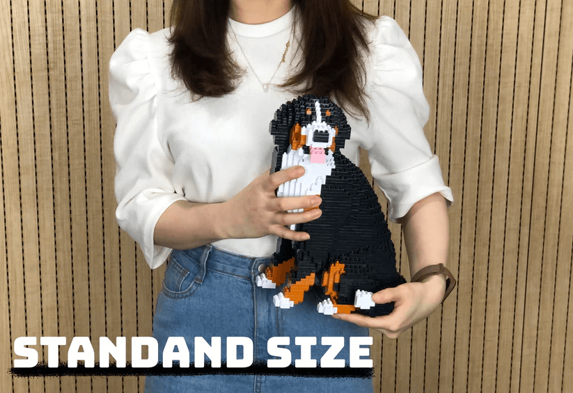 Bernese Mountain Dog - Watching - NORMAL - Bernese Mountain Dog