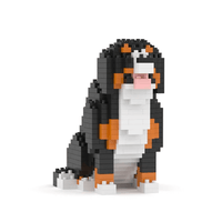 Bernese Mountain Dog - Watching - NORMAL - Bernese Mountain Dog