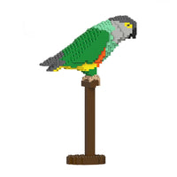 Senegal Parrot