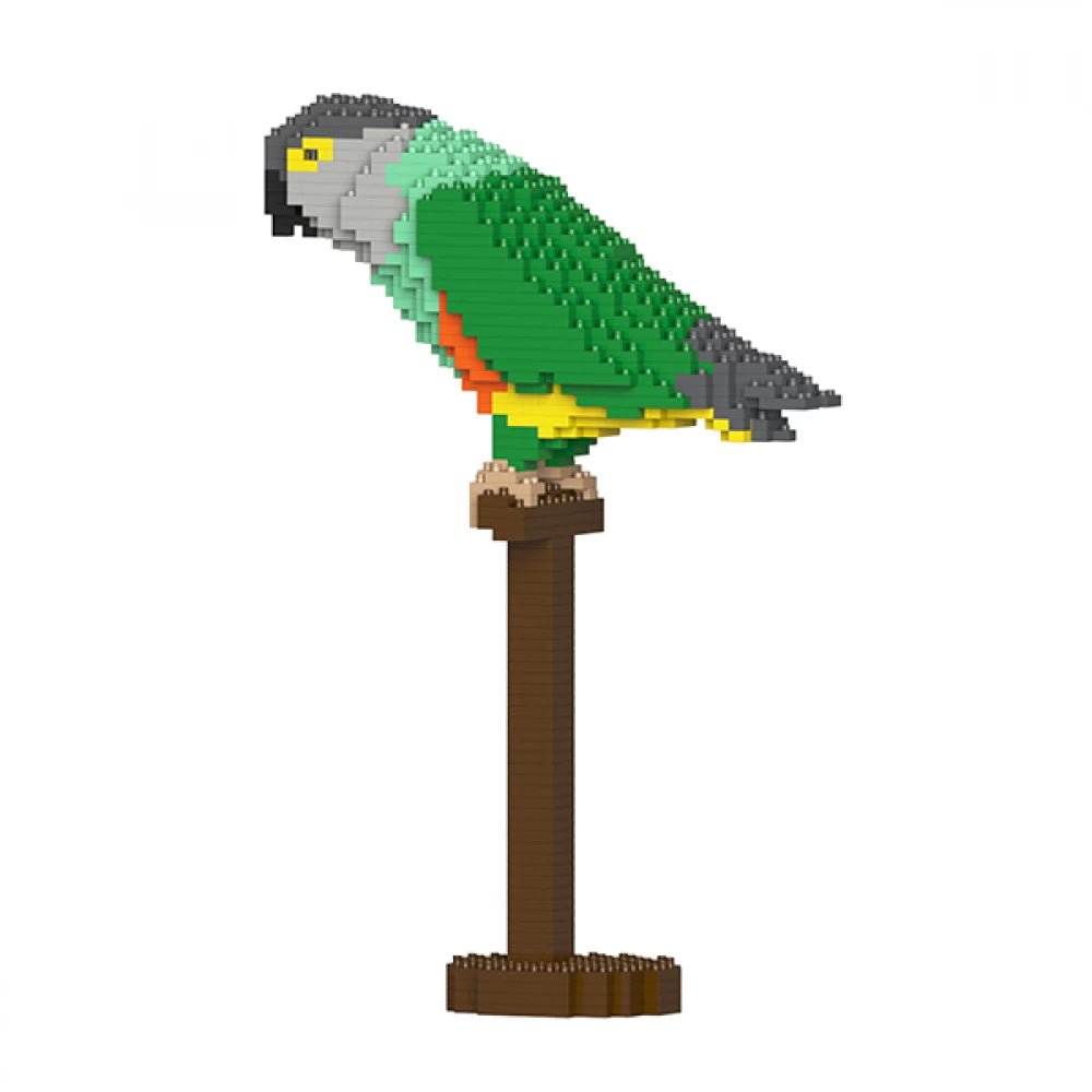 Senegal Parrot