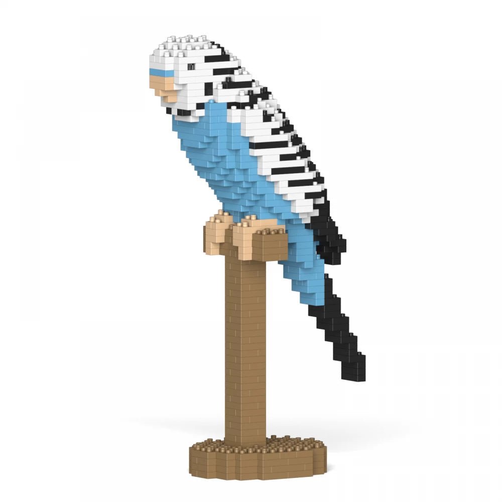 Budgie - Style1 - Budgie