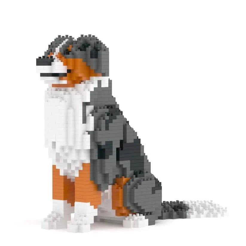 Australian Shepherd - RED MERLE - LARGE - Australian Shepherd