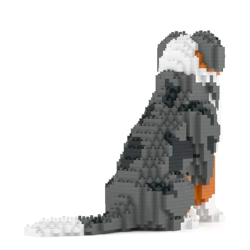 Australian Shepherd - RED MERLE - LARGE - Australian Shepherd