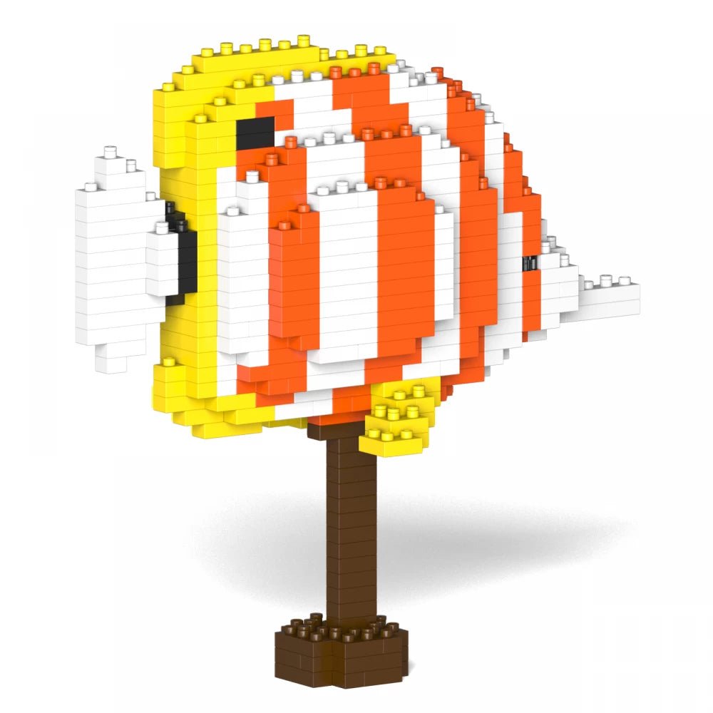 Copper Banded Butterflyfish - NORMAL - Copper Banded Butterflyfish