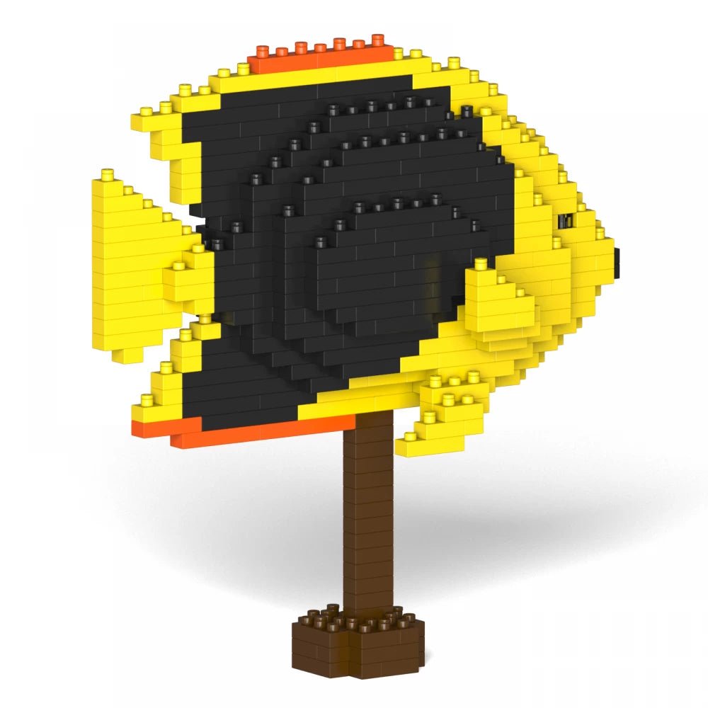 Rock Beauty Angelfish