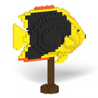 Rock Beauty Angelfish