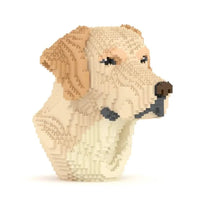 Labrador Bust - Normal - Labrador Bust