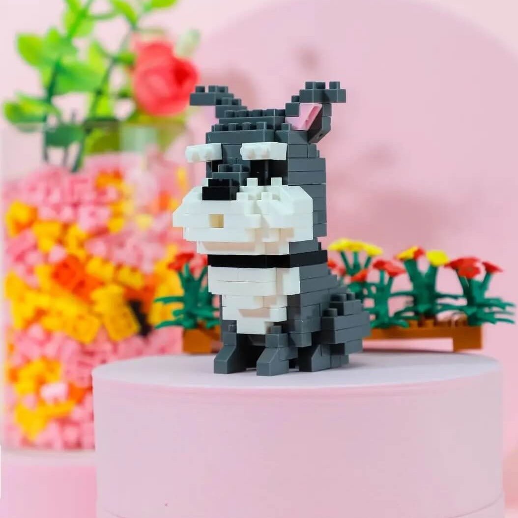 Mini Schnauzer - One - Mini Schnauzer