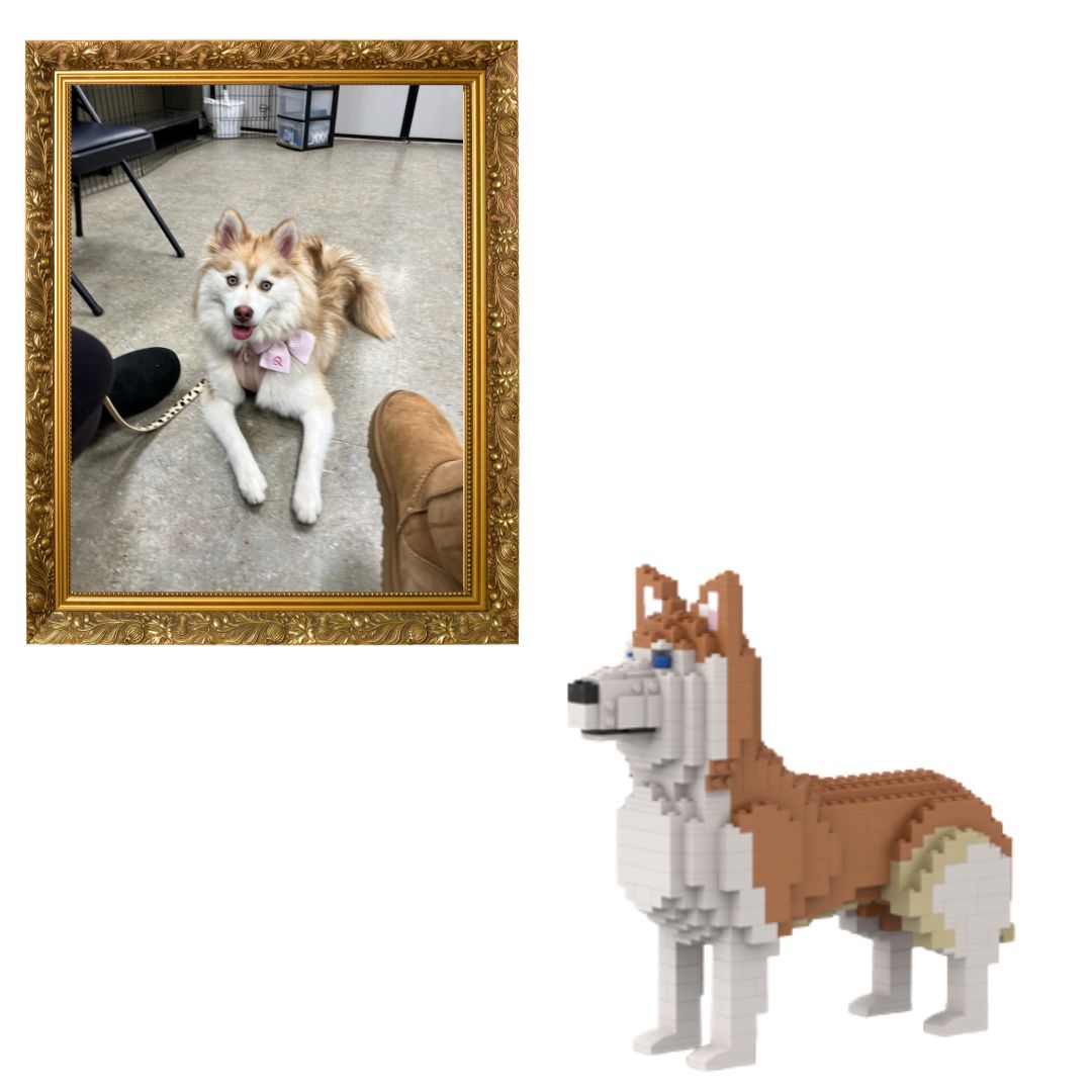 Custom Pet Kit - Medium - H11.7xW6.5xL8.9 Inches - Custom Pet Kit