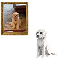 Custom Pet Kit - Medium - H11.7xW6.5xL8.9 Inches - Custom Pet Kit