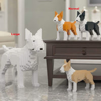 English Bull Terrier