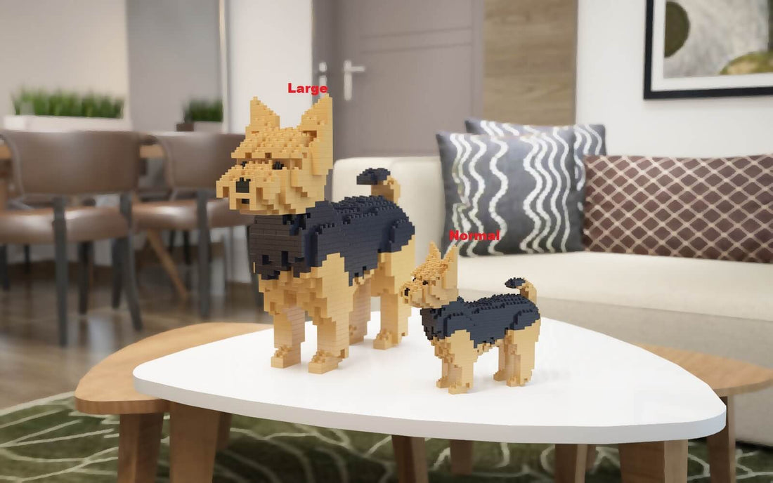 Yorkshire Terrier - NORMAL - normal