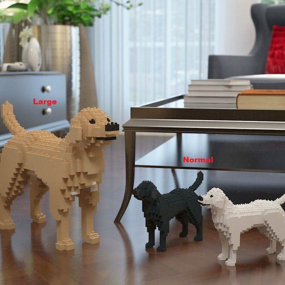 Labrador Retriever (SALE) - Cream - NORMAL - large - yellow