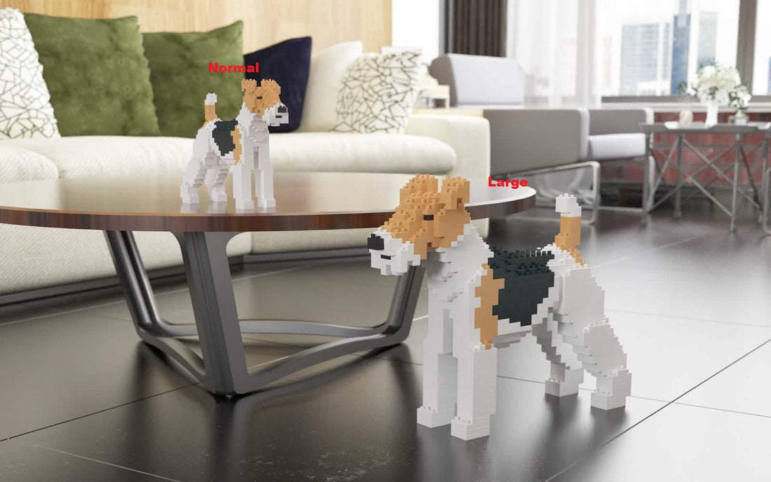 Wire Haired Fox Terrier - NORMAL - normal