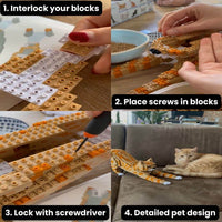 Custom Pet Kit - Medium - H11.7xW6.5xL8.9 Inches - Custom Pet Kit