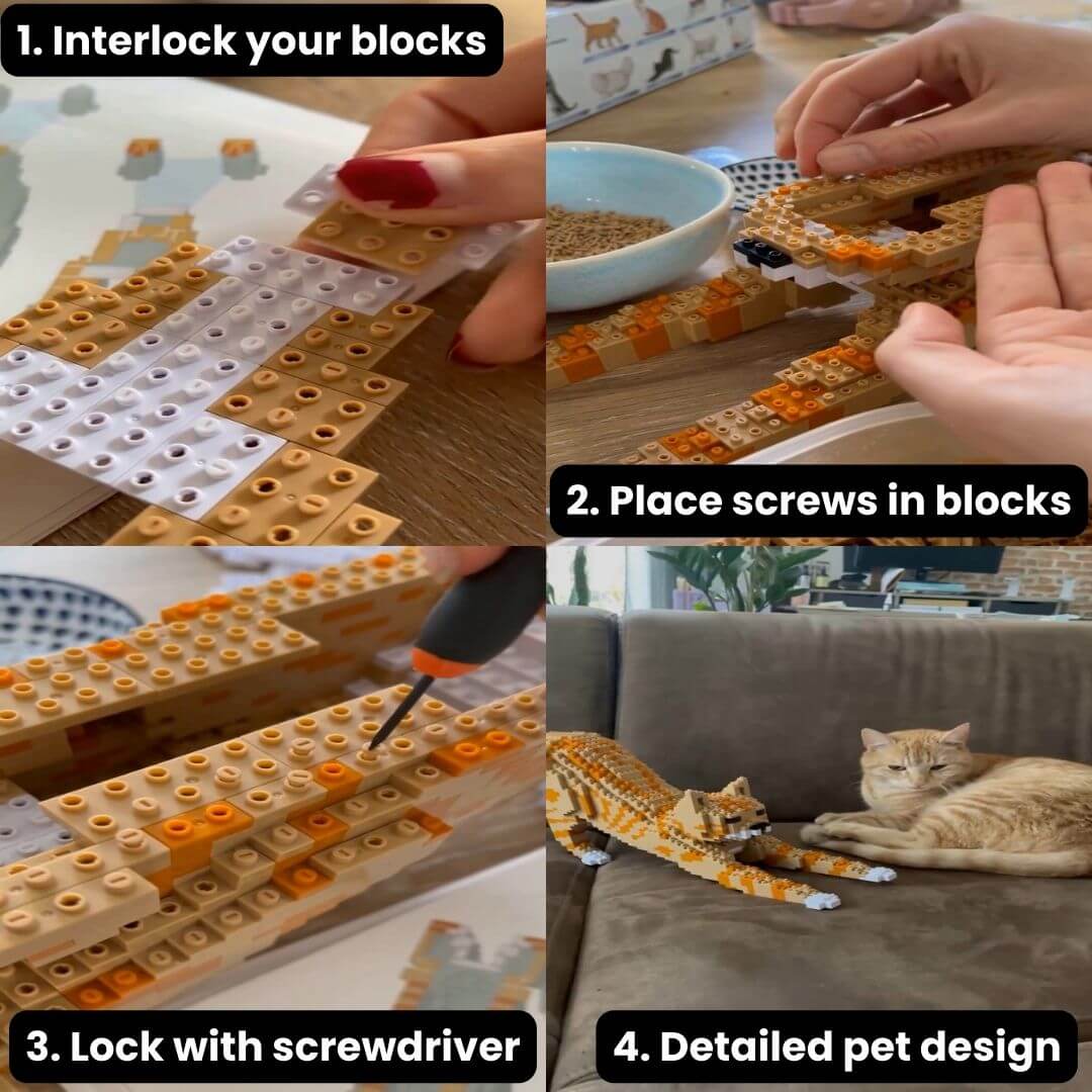 Custom Pet Kit - Medium - H11.7xW6.5xL8.9 Inches - Custom Pet Kit