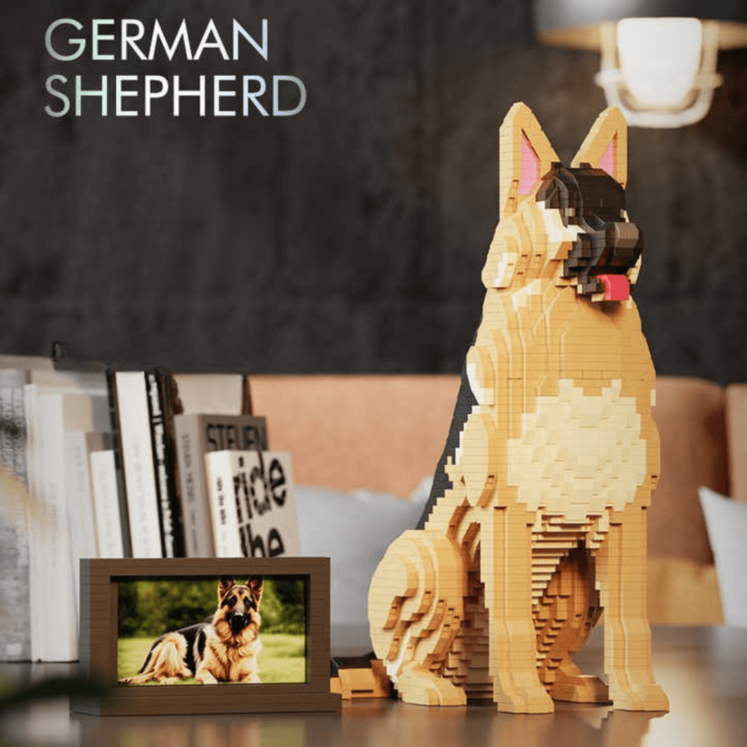 German Shepherd (2025) - German Shepherd (2025)