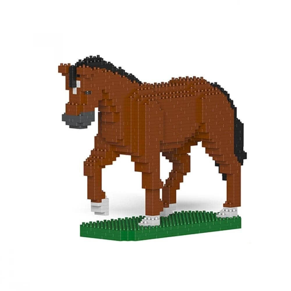 Horse - NORMAL - Walking - Brown - Horse