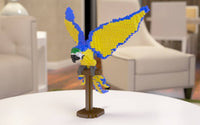 Macaw - Blue & Gold Flying - Macaw