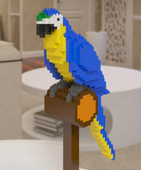 Macaw - Blue & Gold - Macaw