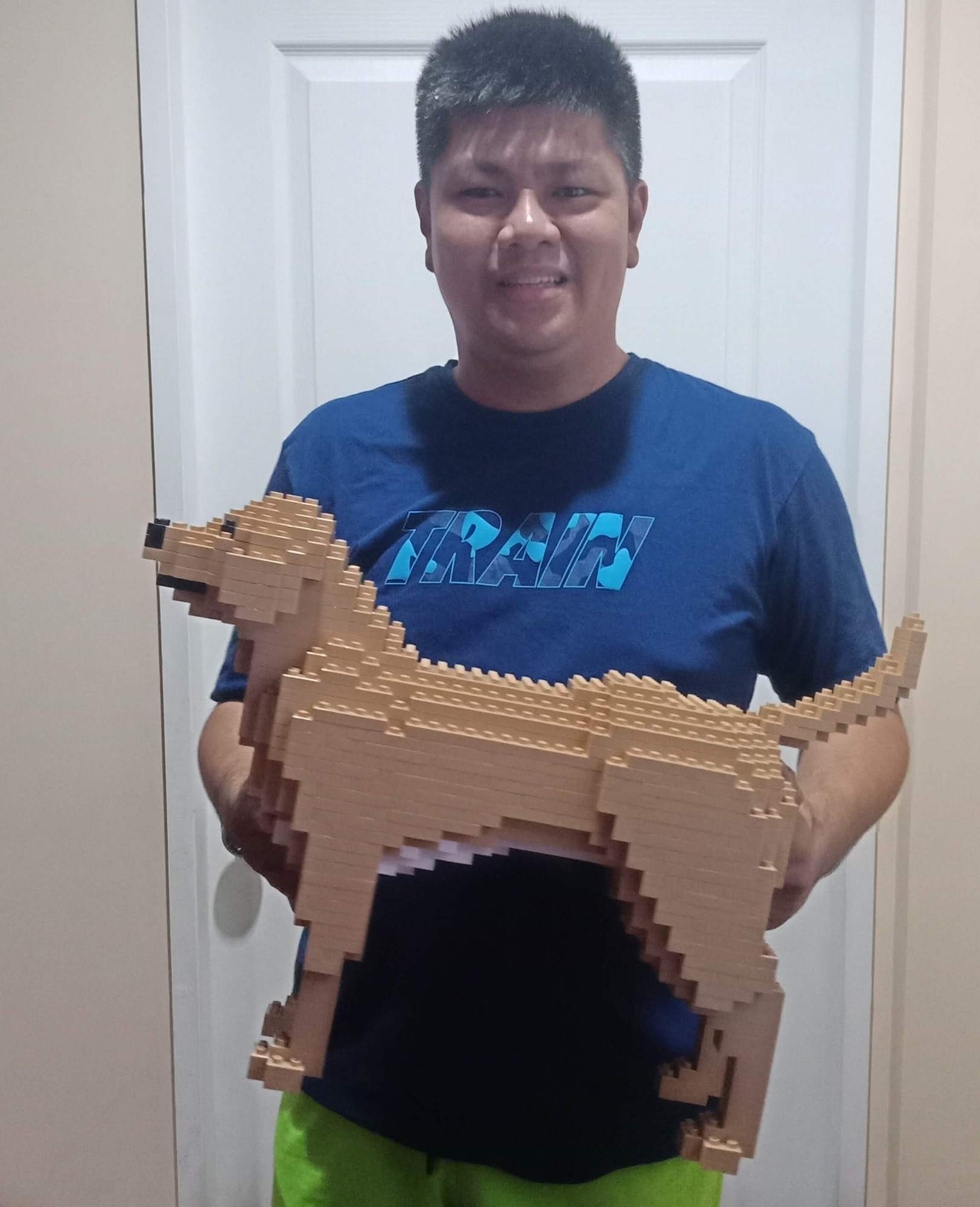 Labrador Retriever (SALE) - Cream - NORMAL - Labrador Retriever (SALE)