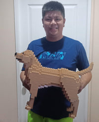 Labrador Retriever (SALE) - Cream - NORMAL - Labrador Retriever (SALE)