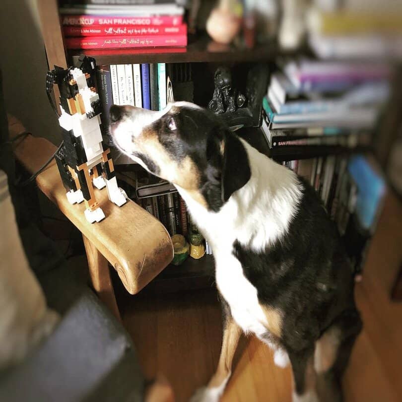 Custom Pet Kit - Medium - H11.7xW6.5xL8.9 Inches - Custom LEGO Kit Building Kit Interlocking Blocks Pet Building Kit