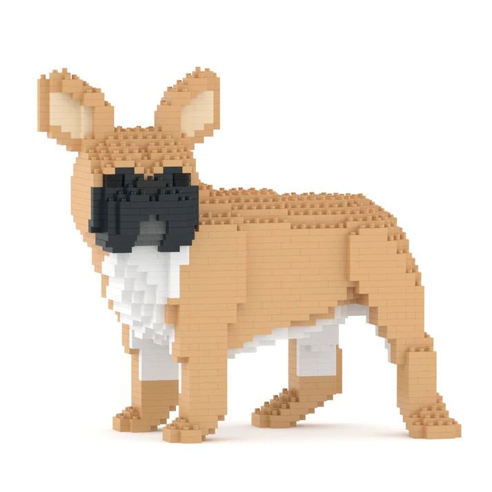 French Bulldog (SALE) - Tan - Standing - French Bulldog (SALE)
