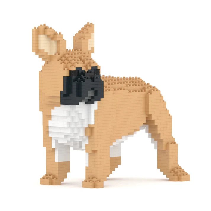 French Bulldog (SALE) - Tan - Standing - French Bulldog (SALE)