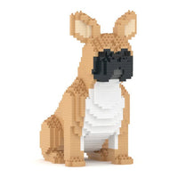 French Bulldog (SALE) - Tan - Standing - French Bulldog (SALE)