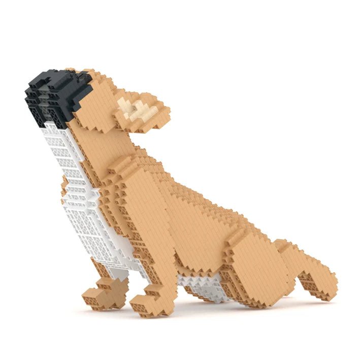 French Bulldog (SALE) - Tan - Standing - French Bulldog (SALE)