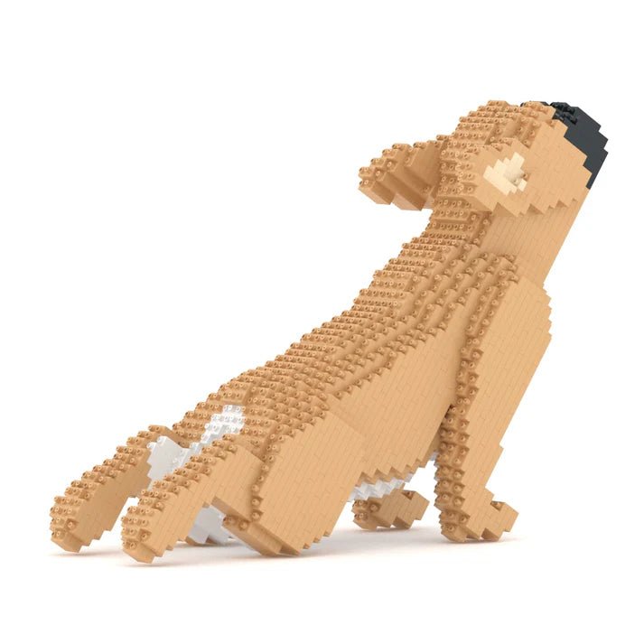 French Bulldog (SALE) - Tan - Standing - French Bulldog (SALE)