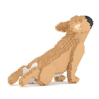 French Bulldog (SALE) - Tan - Standing - French Bulldog (SALE)