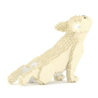 French Bulldog (SALE) - Tan - Standing - French Bulldog (SALE)