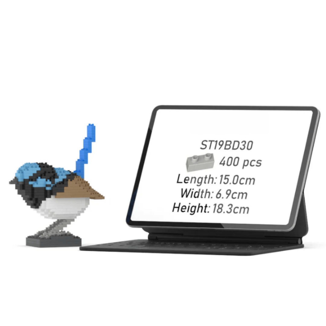 Superb Fairywren - Superb Fairywren