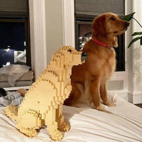 large-yellow-sitting