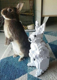 Rabbit Building Kit Interlocking Blocks Pet Building Kit