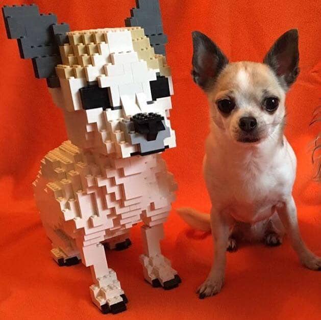 Chihuahua - SMALL - White - Chihuahua Building Kit Interlocking Blocks Pet Building Kit