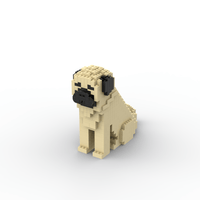 Pug - Pug