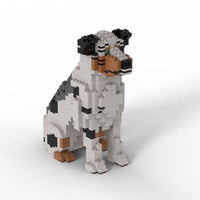 Australian Shepherd - Australian Shepherd