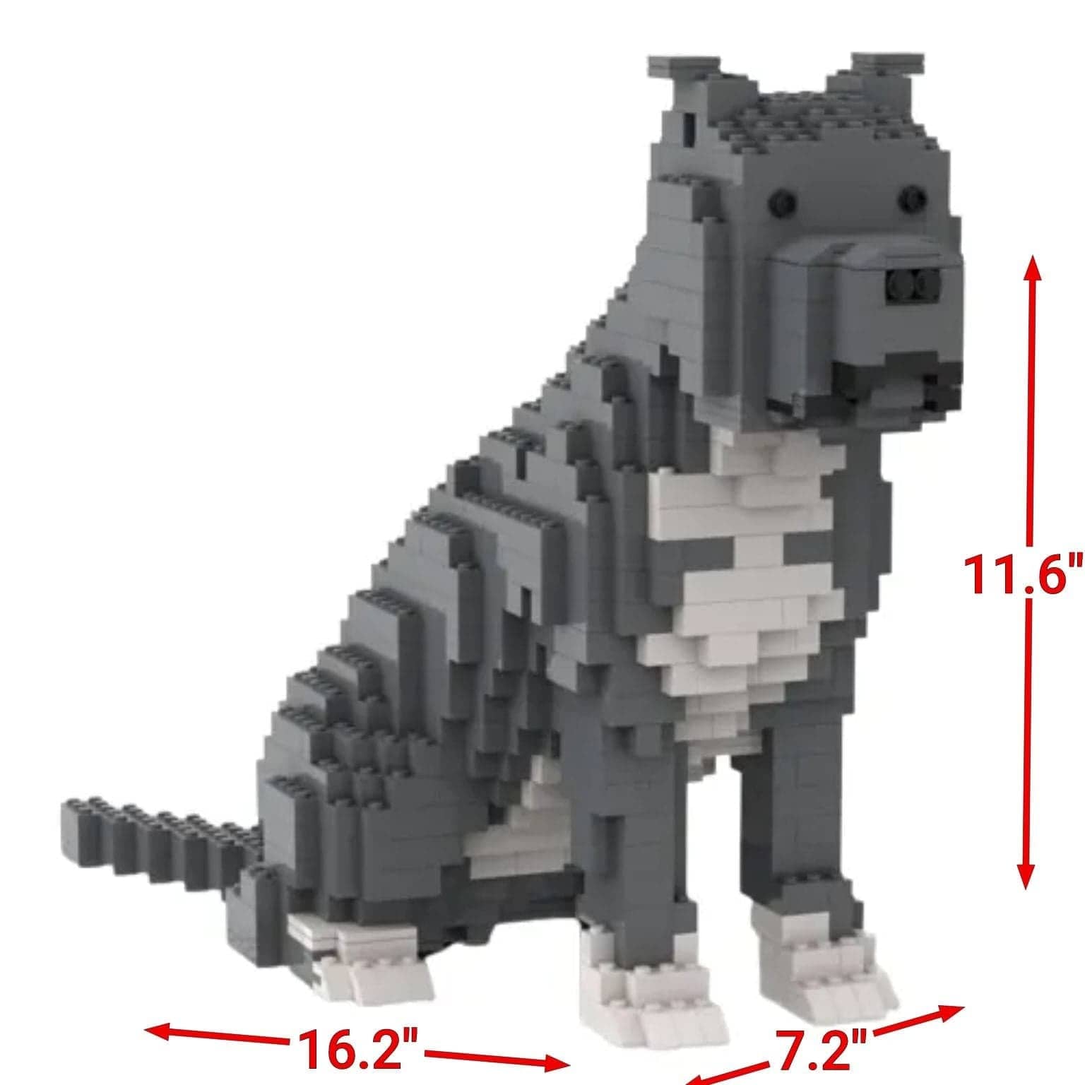 Pit bull - Budget/Grey - Pit bull