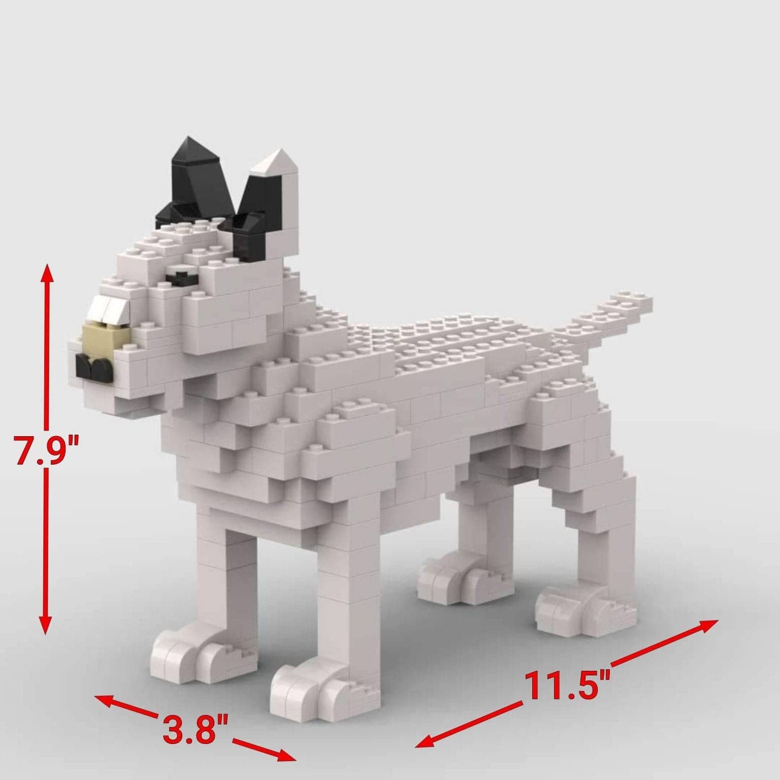 Bull Terrier - Bull Terrier