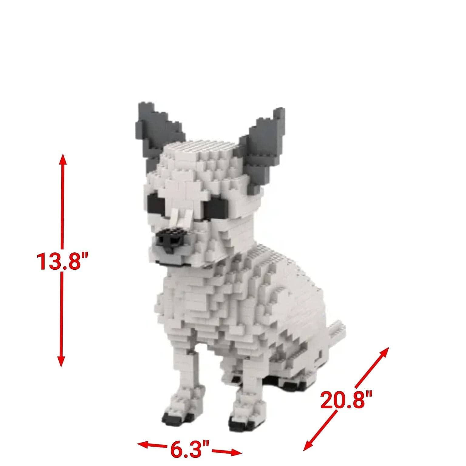 Chihuahua - SMALL - White - Chihuahua