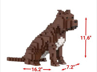 Pit bull - Budget/Grey - Pit bull