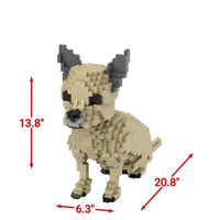 Chihuahua - SMALL - White - Chihuahua