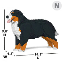 Bernese Mountain Dog - Panting - NORMAL - normal - panting