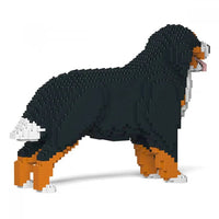 Bernese Mountain Dog - Panting - NORMAL - normal - panting