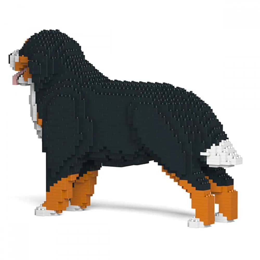 Bernese Mountain Dog - Panting - NORMAL - normal - panting